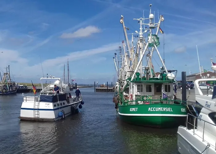 Lenz Comfortable Vacation Appartement